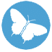 B2B Butterfly icon in blue circle